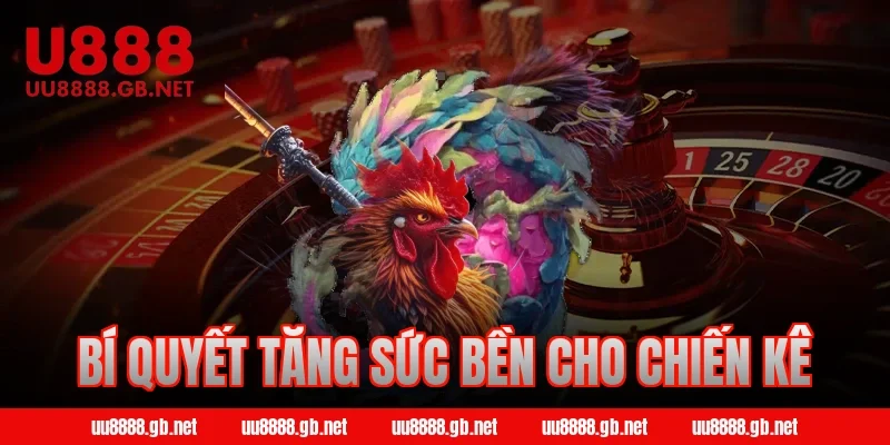 Bí quyết tăng sức bền cho chiến kê